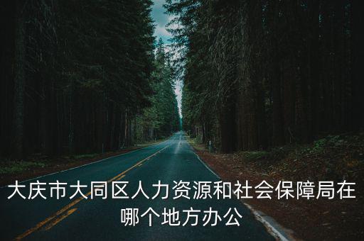 大慶市大同區(qū)人力資源和社會保障局在哪個地方辦公
