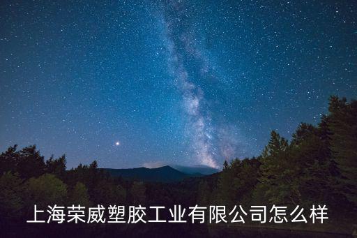 上海榮威塑膠工業有限公司怎么樣