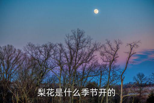 梨花幾月份開花，梨花在幾月份開花