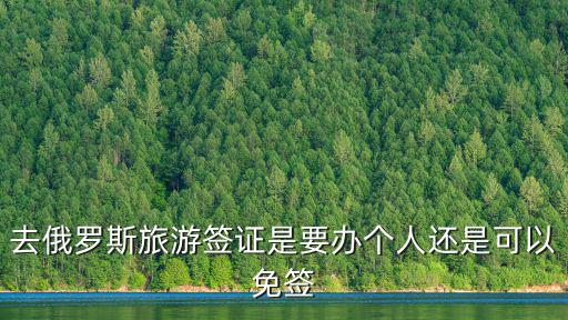 去俄羅斯旅游簽證是要辦個人還是可以免簽