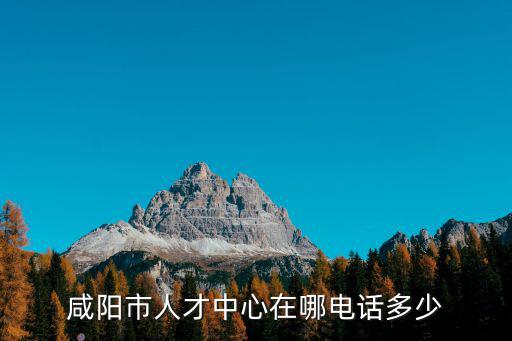咸陽人才網，誰知道咸陽人才網是什么