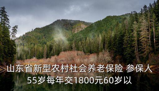 山東省新型農村社會養老保險 參保人55歲每年交1800元60歲以