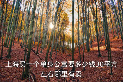 上海公寓價格，上海買一個單身公寓要多少錢30平方左右哪里有賣