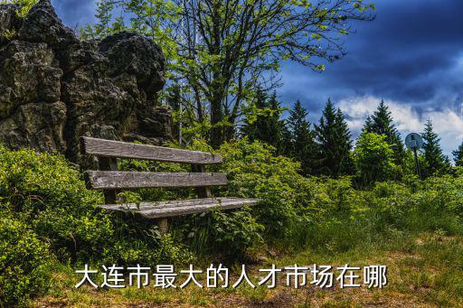 大連市最大的人才市場在哪