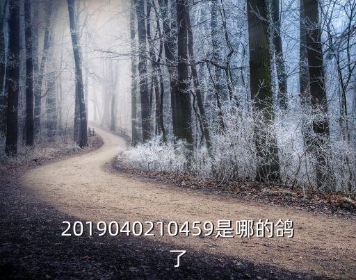 2019040210459是哪的鴿了