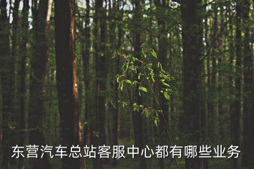 東營汽車總站客服中心都有哪些業務