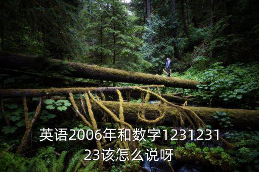 英語2006年和數字123123123該怎么說呀