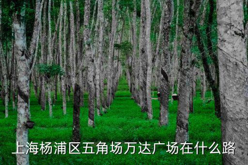 上海楊浦區五角場萬達廣場在什么路