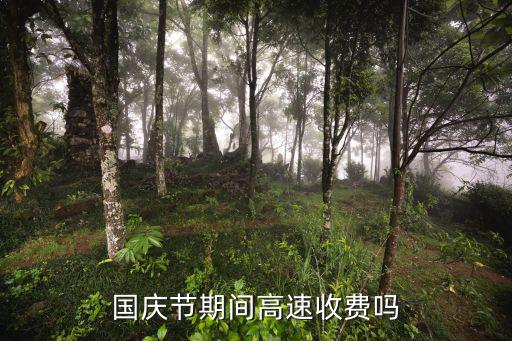 國慶節期間高速收費嗎