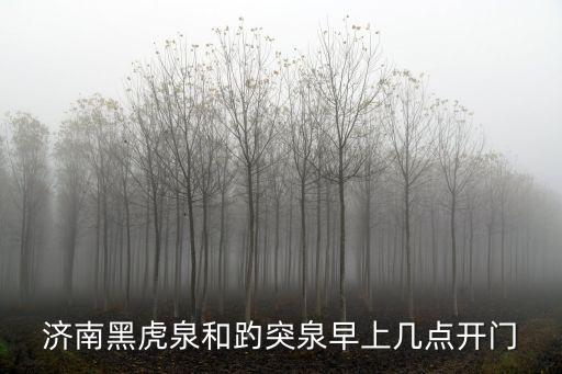 濟南黑虎泉和趵突泉早上幾點開門