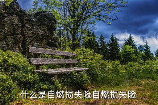 自燃損失險，人保的自燃損失險是指什么