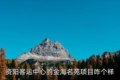資陽(yáng)客運(yùn)中心的金海名苑項(xiàng)目咋個(gè)樣