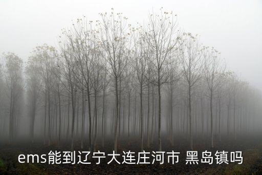 黑島鎮，大連莊河市黑島鎮有郵政嗎