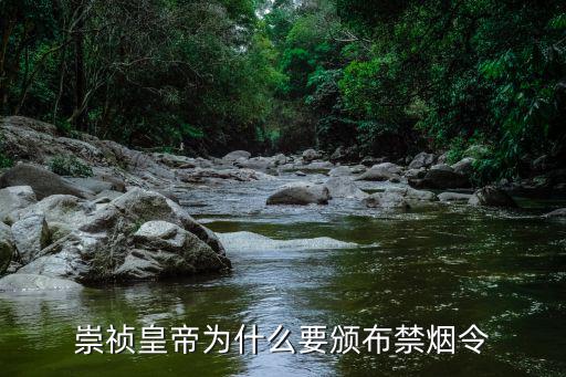 禁煙令，禁煙令是哪一年頒布的