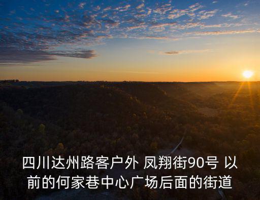 四川達(dá)州路客戶(hù)外 鳳翔街90號(hào) 以前的何家巷中心廣場(chǎng)后面的街道