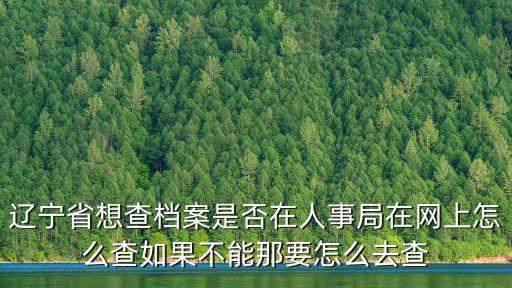 遼寧省想查檔案是否在人事局在網上怎么查如果不能那要怎么去查