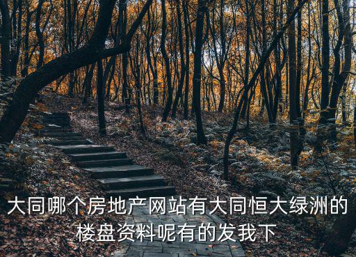 大同哪個(gè)房地產(chǎn)網(wǎng)站有大同恒大綠洲的樓盤資料呢有的發(fā)我下
