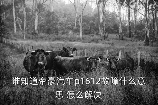 d1612，鉆戒上標d0111ct d0021ct是什么意思