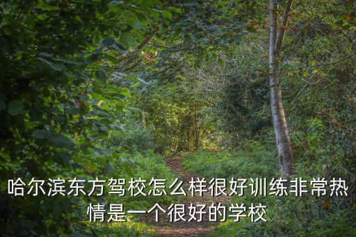 東方駕校，哈爾濱東方駕校怎么樣很好訓練非常熱情是一個很好的學校