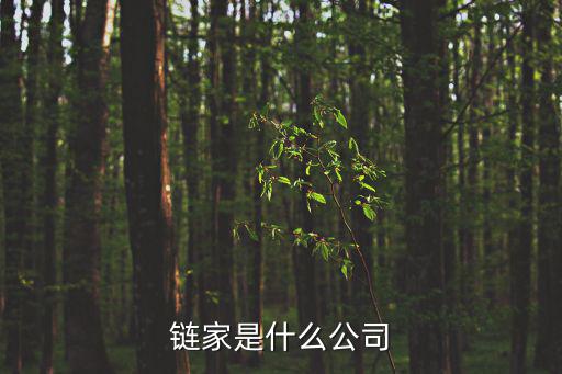 鏈家是什么公司