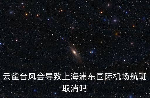 臺風云雀，云雀臺風會導致上海浦東國際機場航班取消嗎