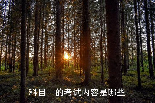 科目一的考試內(nèi)容是哪些