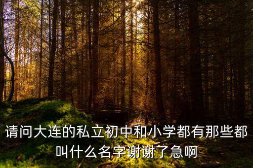 請問大連的私立初中和小學都有那些都叫什么名字謝謝了急啊