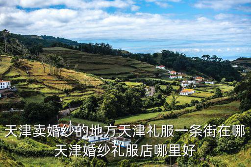 天津婚紗，天津市哪里的婚紗照拍的好請拍過的親來講下呢