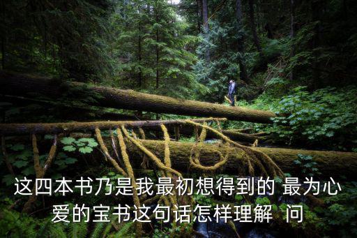 這四本書(shū)乃是我最初想得到的 最為心愛(ài)的寶書(shū)這句話怎樣理解  問(wèn)