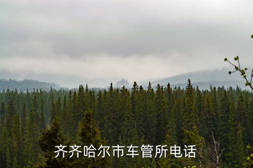 齊齊哈爾市車管所電話