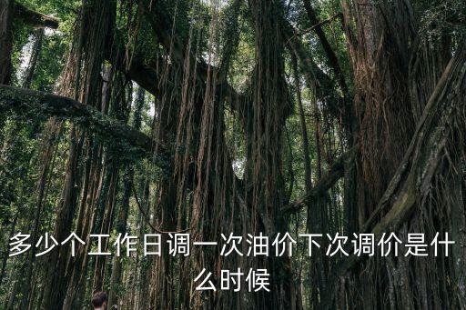 多少個工作日調一次油價下次調價是什么時候