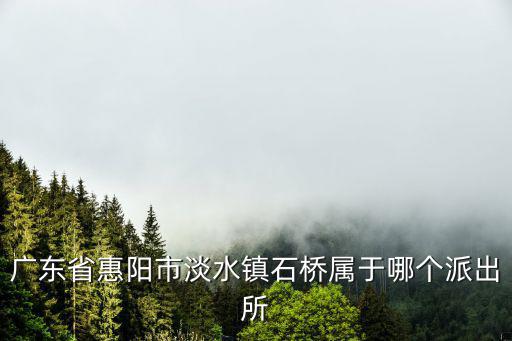 廣東省惠陽市淡水鎮石橋屬于哪個派出所