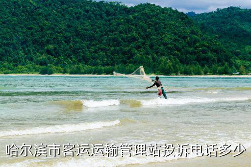 哈爾濱市客運運輸管理站投訴電話多少