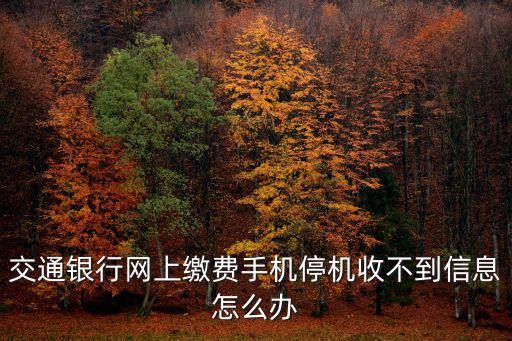 交通銀行網上繳費手機停機收不到信息怎么辦