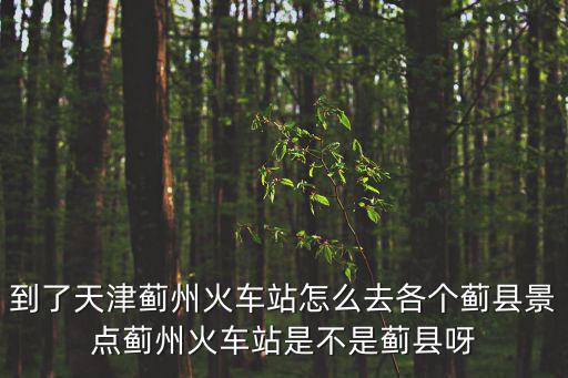 到了天津薊州火車站怎么去各個薊縣景點薊州火車站是不是薊縣呀