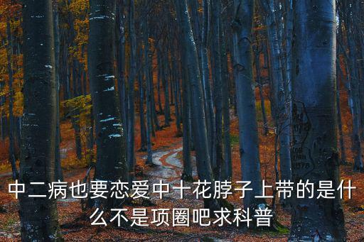 中二病也要戀愛中十花脖子上帶的是什么不是項(xiàng)圈吧求科普