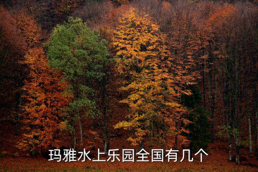 瑪雅水上樂園全國有幾個
