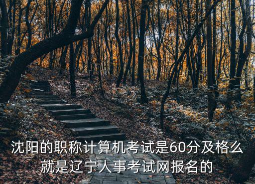 沈陽的職稱計算機考試是60分及格么就是遼寧人事考試網(wǎng)報名的