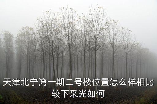天津北寧灣一期二號樓位置怎么樣相比較下采光如何