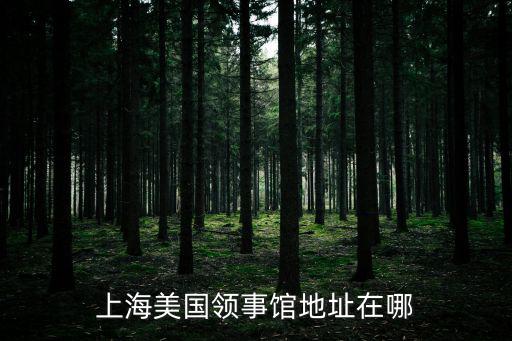 上海美國領事館地址在哪