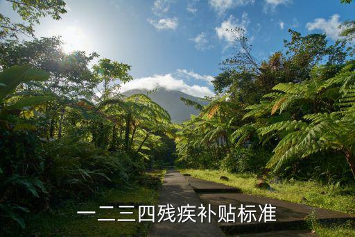 傷殘補(bǔ)貼，有工傷津貼還可以向當(dāng)?shù)仡I(lǐng)殘疾補(bǔ)貼嗎