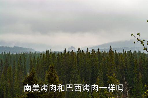南美烤肉，長春比爾森南美烤肉和金漢斯烤肉 是一個嗎