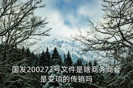 國(guó)發(fā)200273號(hào)文件是啥商務(wù)商會(huì)是變項(xiàng)的傳銷嗎