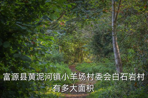 富源縣黃泥河鎮(zhèn)小羊場(chǎng)村委會(huì)白石巖村有多大面積