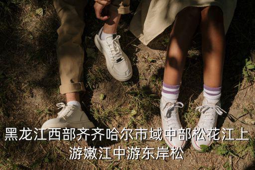 齊齊哈爾市地圖，黑龍江西部齊齊哈爾市域中部松花江上游嫩江中游東岸松