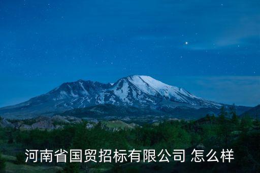 河南省國貿招標有限公司 怎么樣