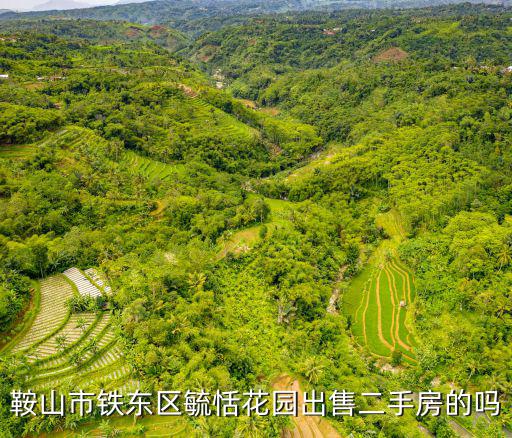 鞍山市鐵東區毓恬花園出售二手房的嗎