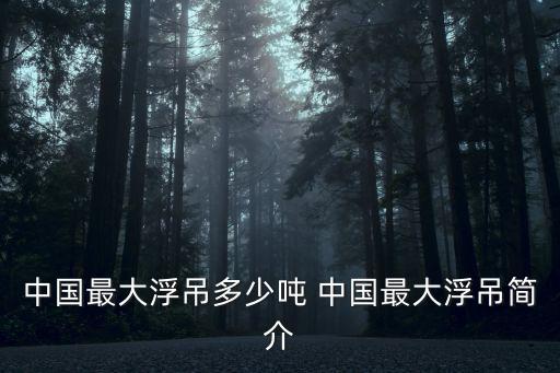 中國最大浮吊多少噸 中國最大浮吊簡介