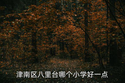 津南區八里臺哪個小學好一點