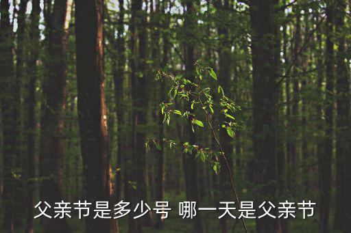 父親節是多少號 哪一天是父親節